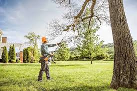 How Our Tree Care Process Works  in  Athena, OR